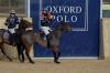Oxford Polo 2023_01_08 0041